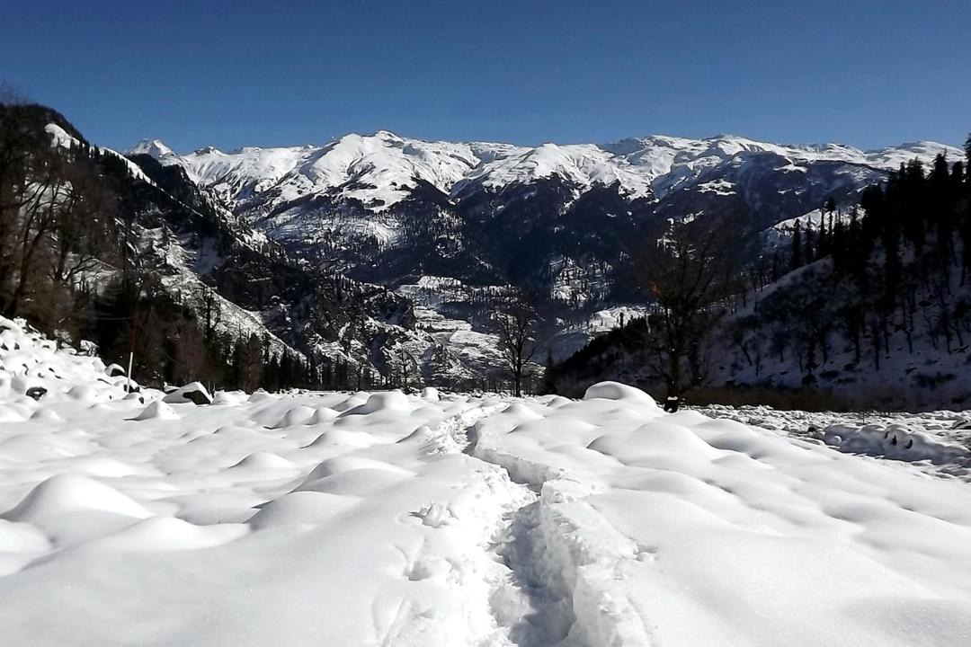 Photo of Others in Old Manali