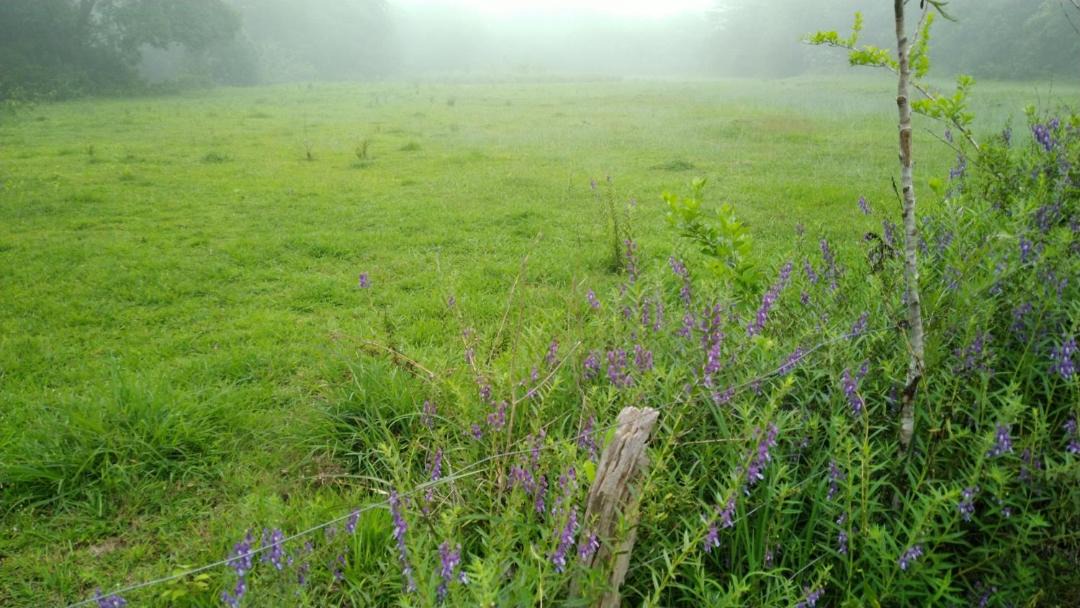 Photo of Others in Somvarpet