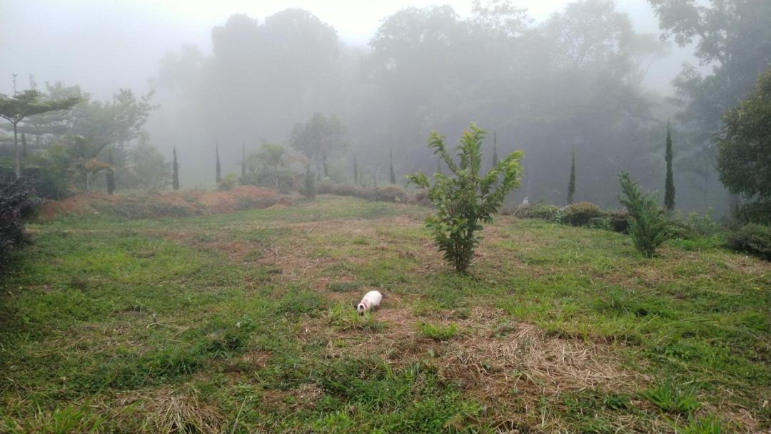 Photo of Others in Somvarpet