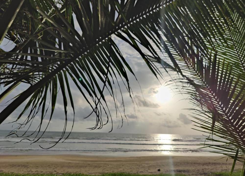 Photo of Others in Canacona