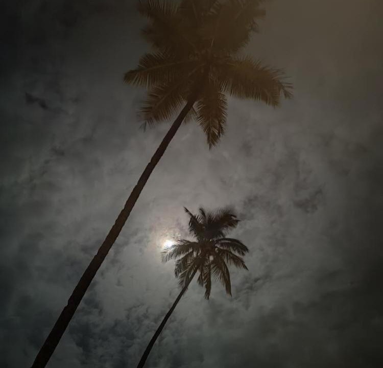 Photo of Others in Canacona