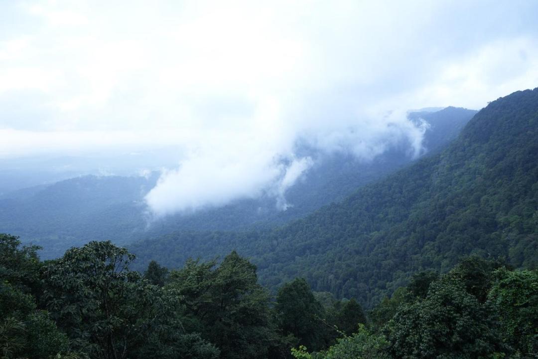 Photo of Others in Agumbe