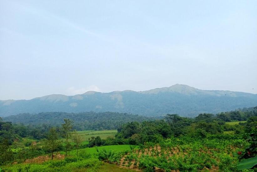Photo of Others in Bhagamandala