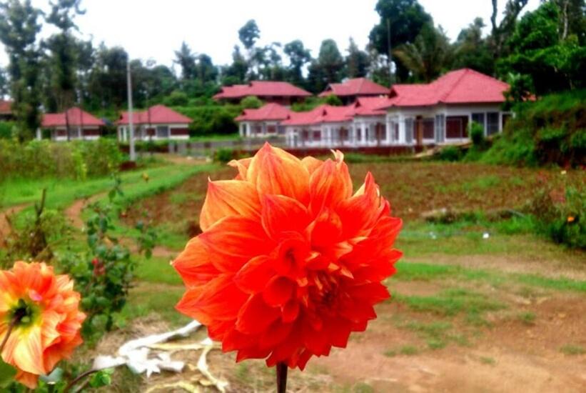 Photo of Others in Bhagamandala