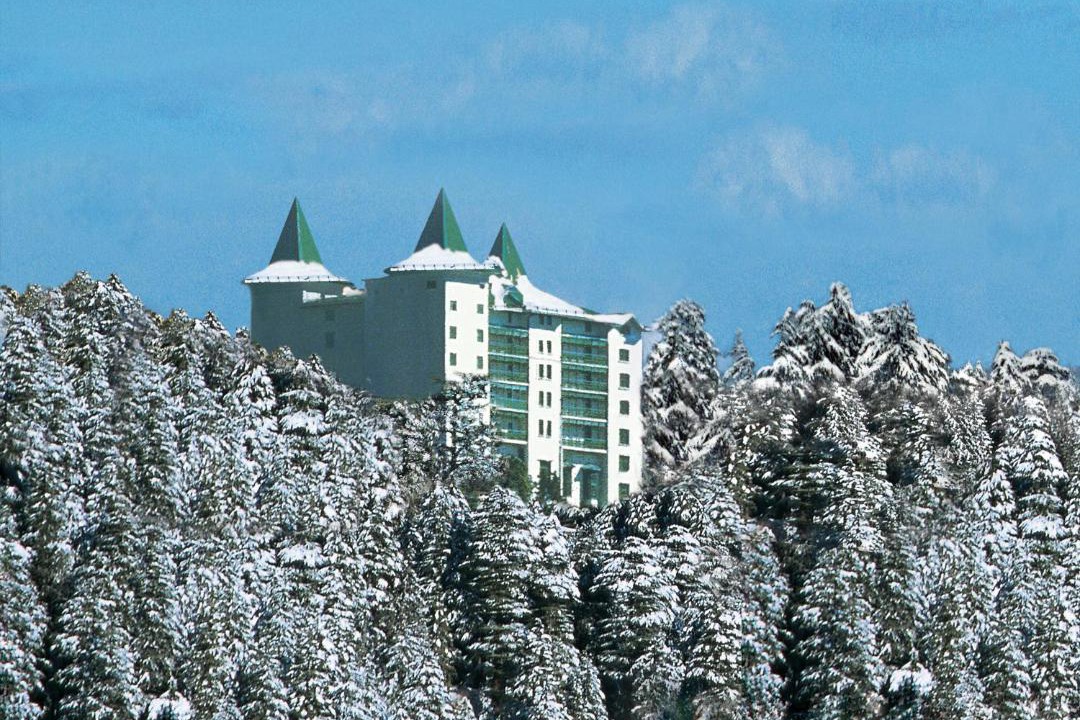 Photo of Others in Shimla