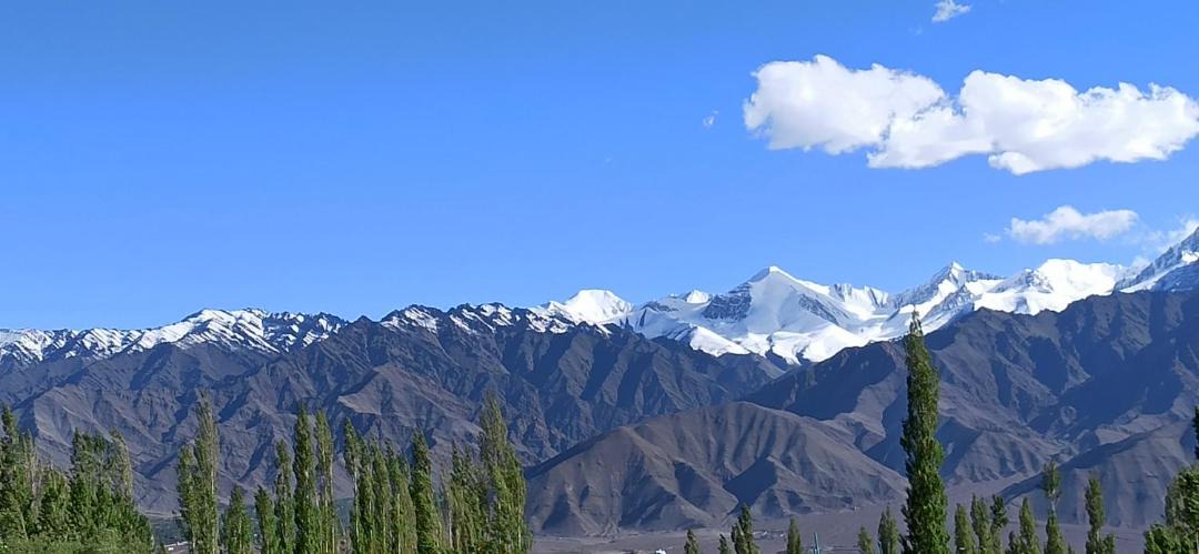 Photo of Others in Leh