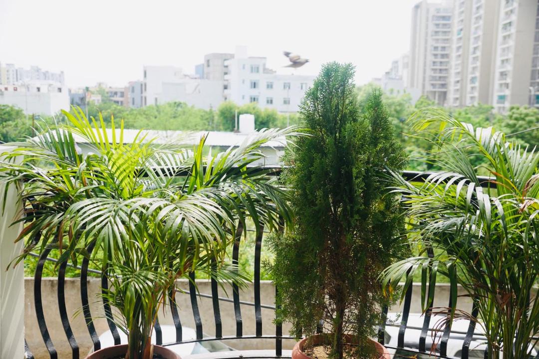 Photo of Patio Balcony in Jagatpura