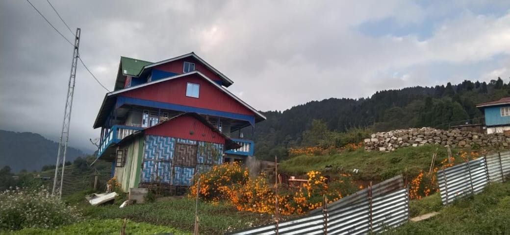 Photo of Others in Geyzing