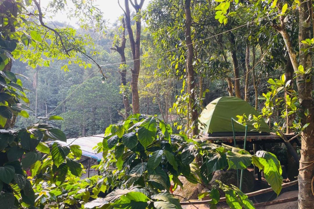 Photo of Outdoor in Muttil South