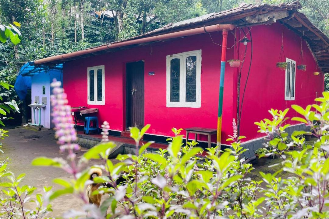Photo of Buildings in Muttil South