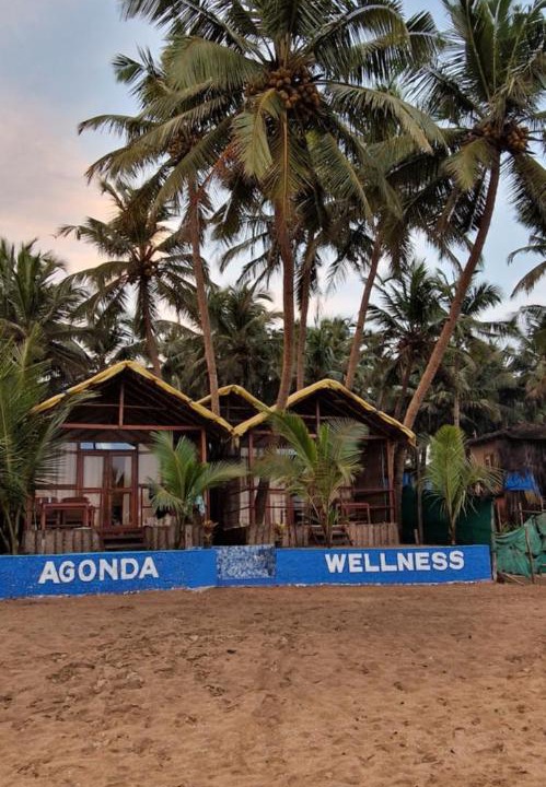 Photo of Others in Agonda