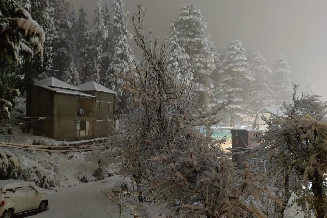 Photo of Others in Old Manali
