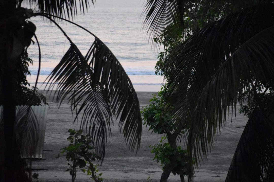 Photo of Others in Cox's Bazar