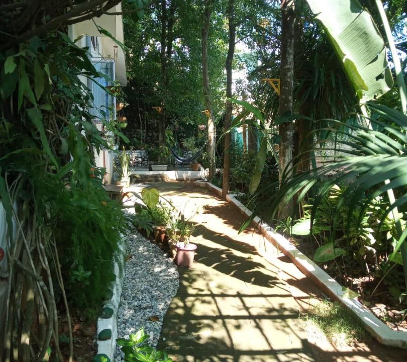 Photo of Others in Sualkuchi