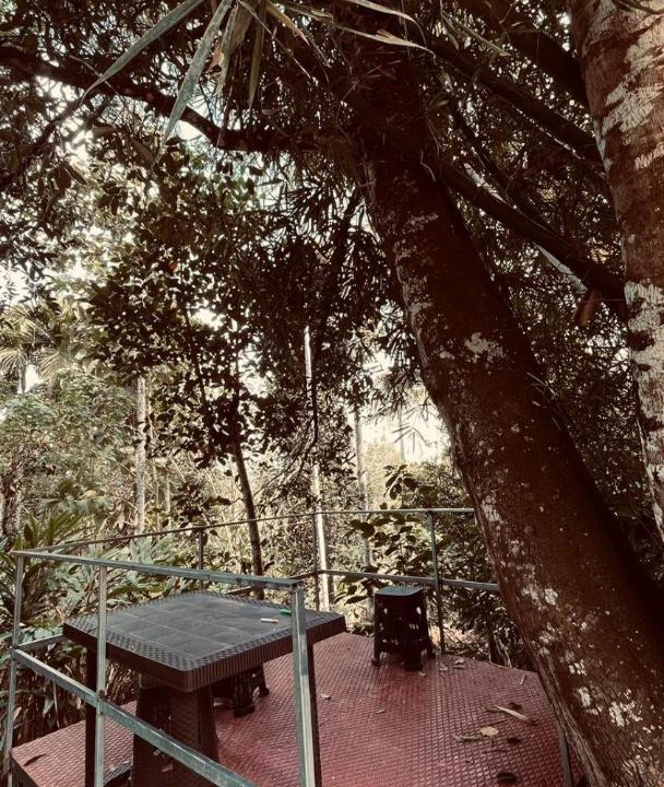 Photo of Others in Kalloor