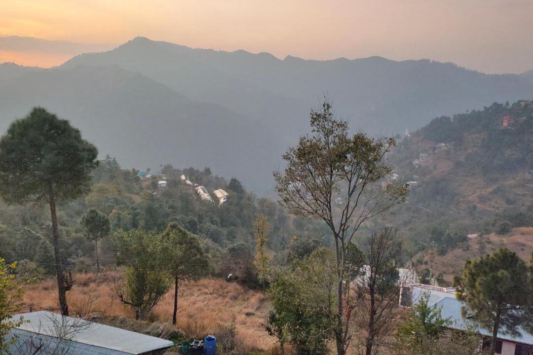 Photo of Others in Shimla