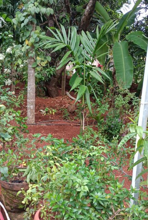 Photo of Others in Ankola