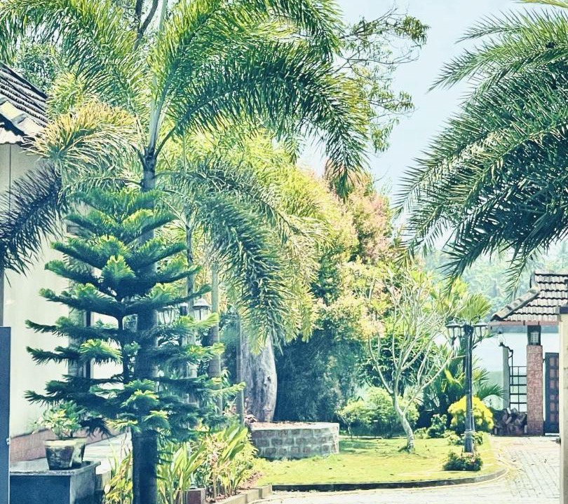 Photo of Others in Kuzhuppilly