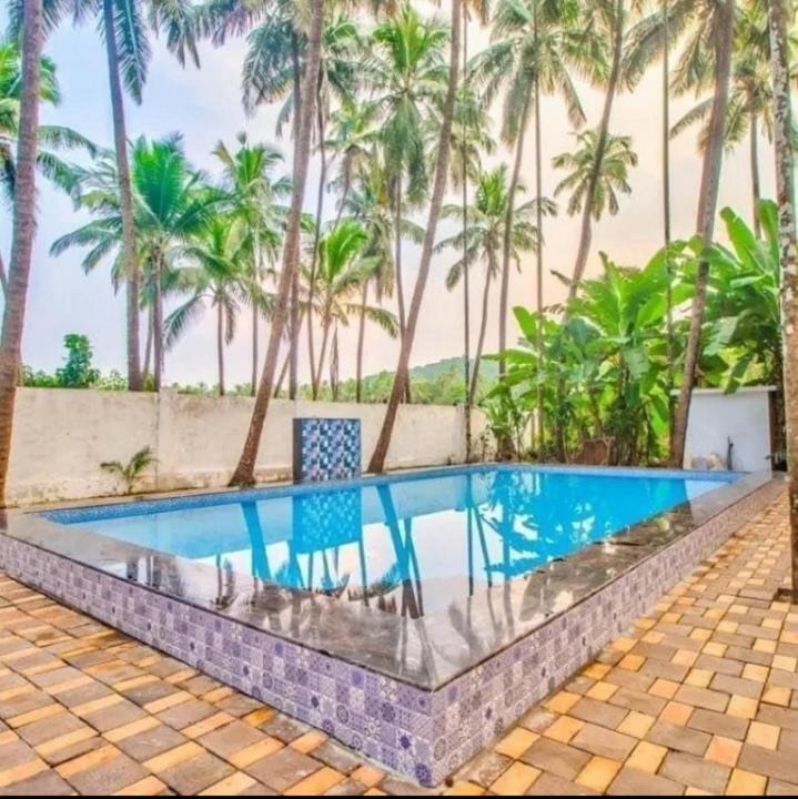Photo of Outdoor in Arambol