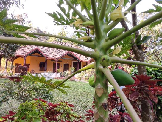 Photo of Buildings in Madikeri