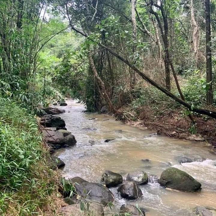 Photo of Outdoor in Madikeri