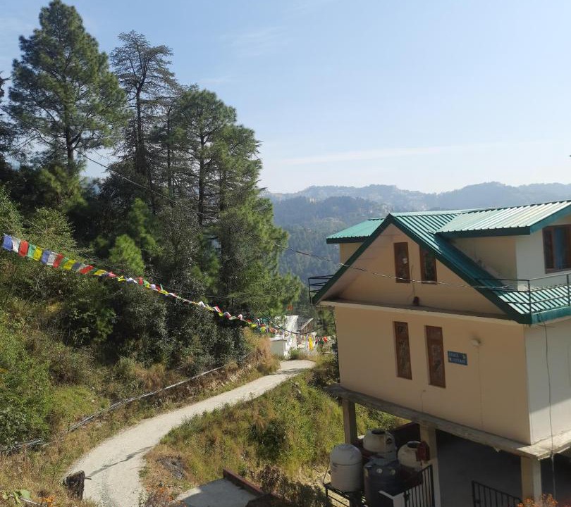 Photo of Others in Shimla
