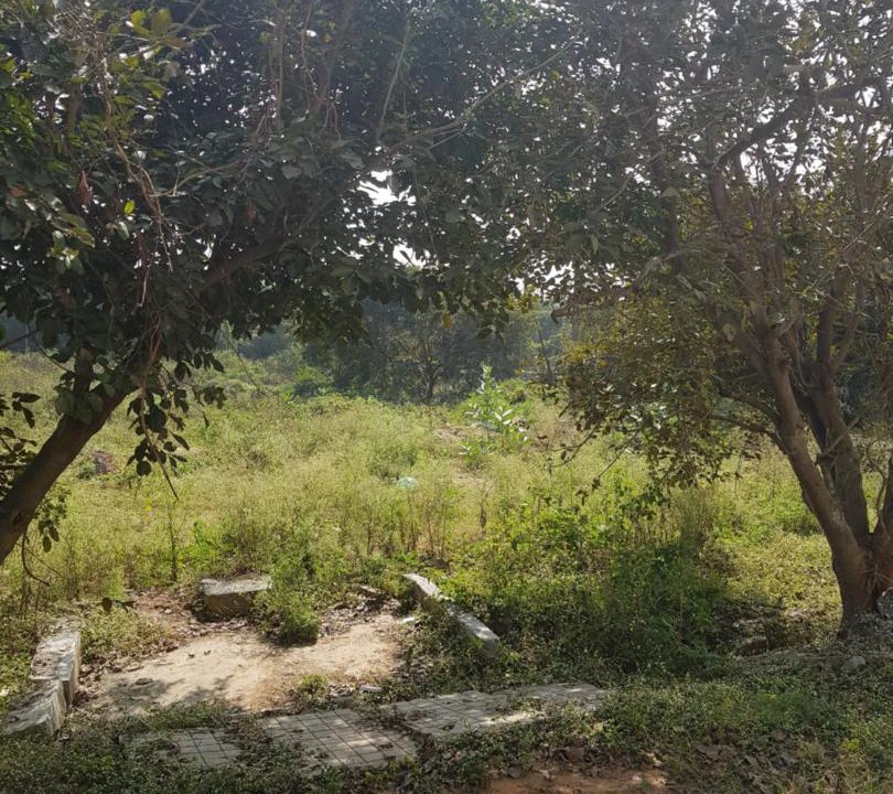 Photo of Outdoor in Bengaluru