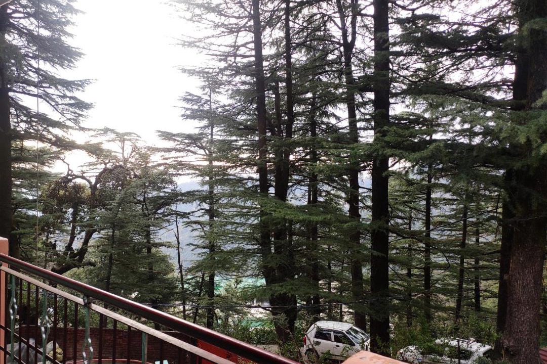 Photo of Others in McLeod Ganj