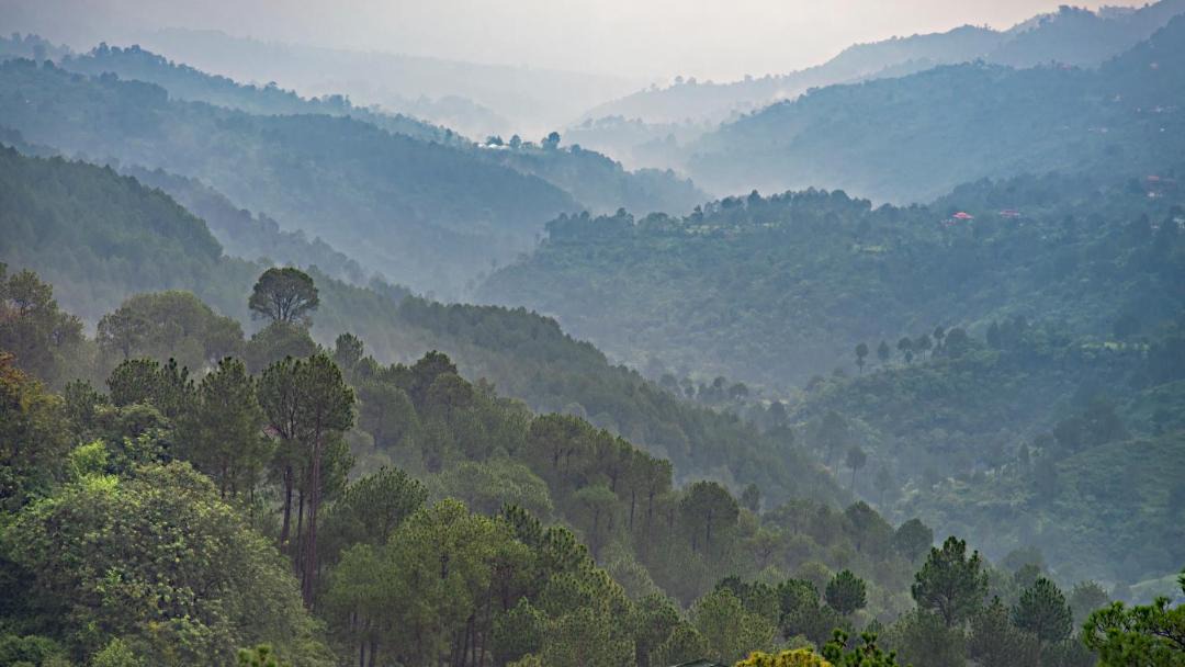 Photo of Outdoor in Dharampur