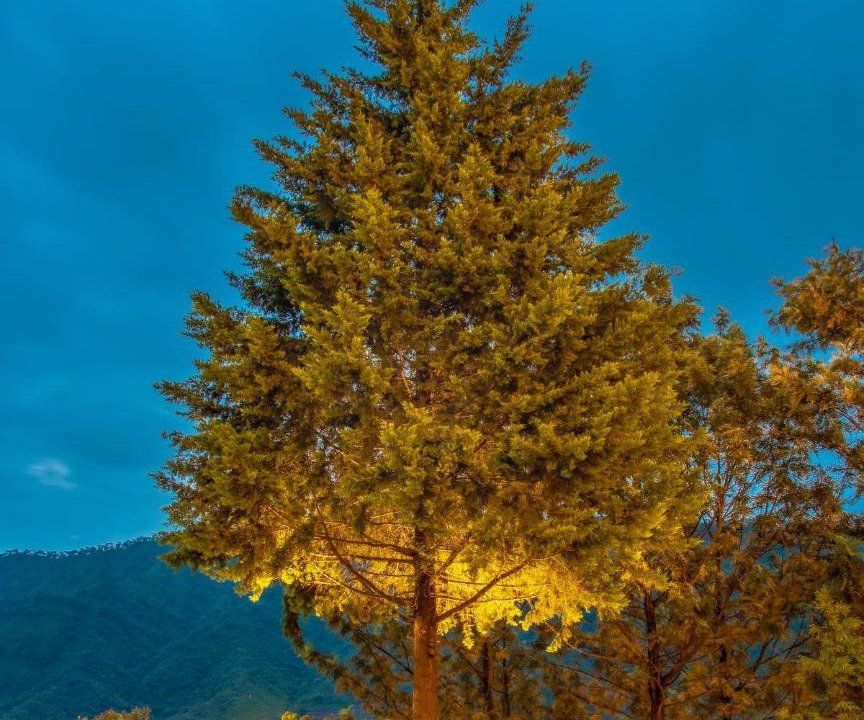 Photo of Outdoor in Dharampur