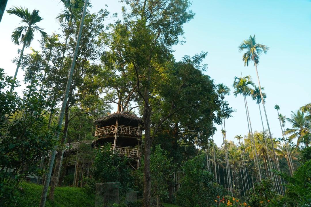 Photo of Others in Maraiyur