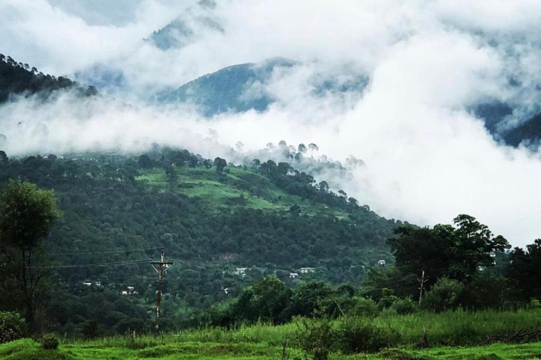 Photo of Others in Palampur