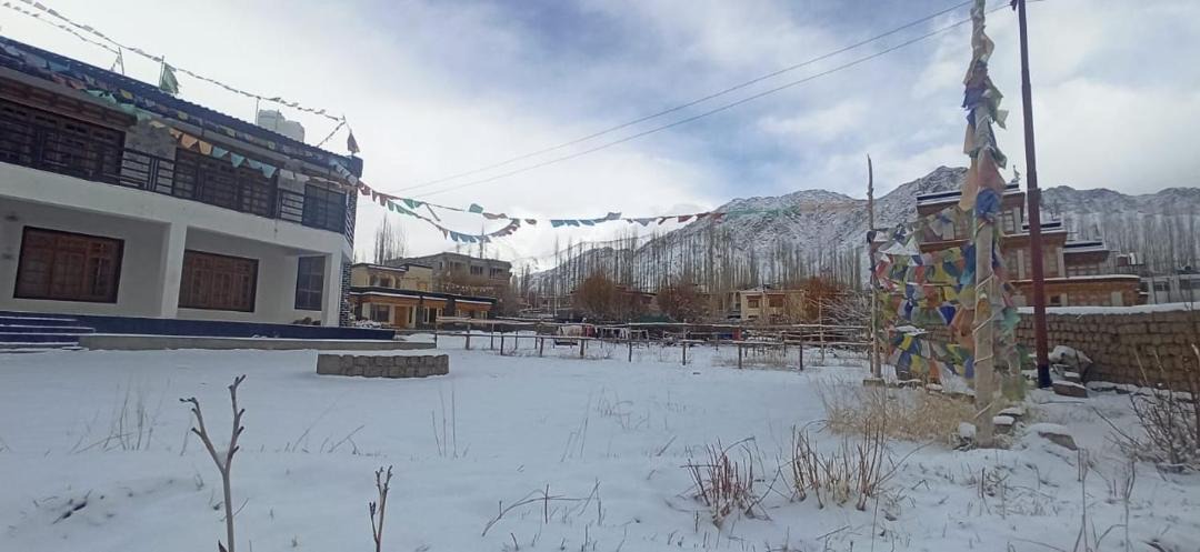 Photo of Others in Leh