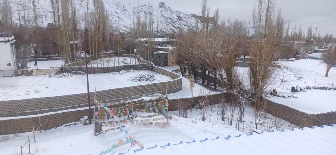 Photo of Others in Leh