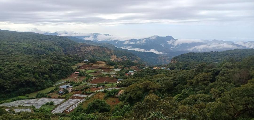 Photo of Others in Mahabaleshwar