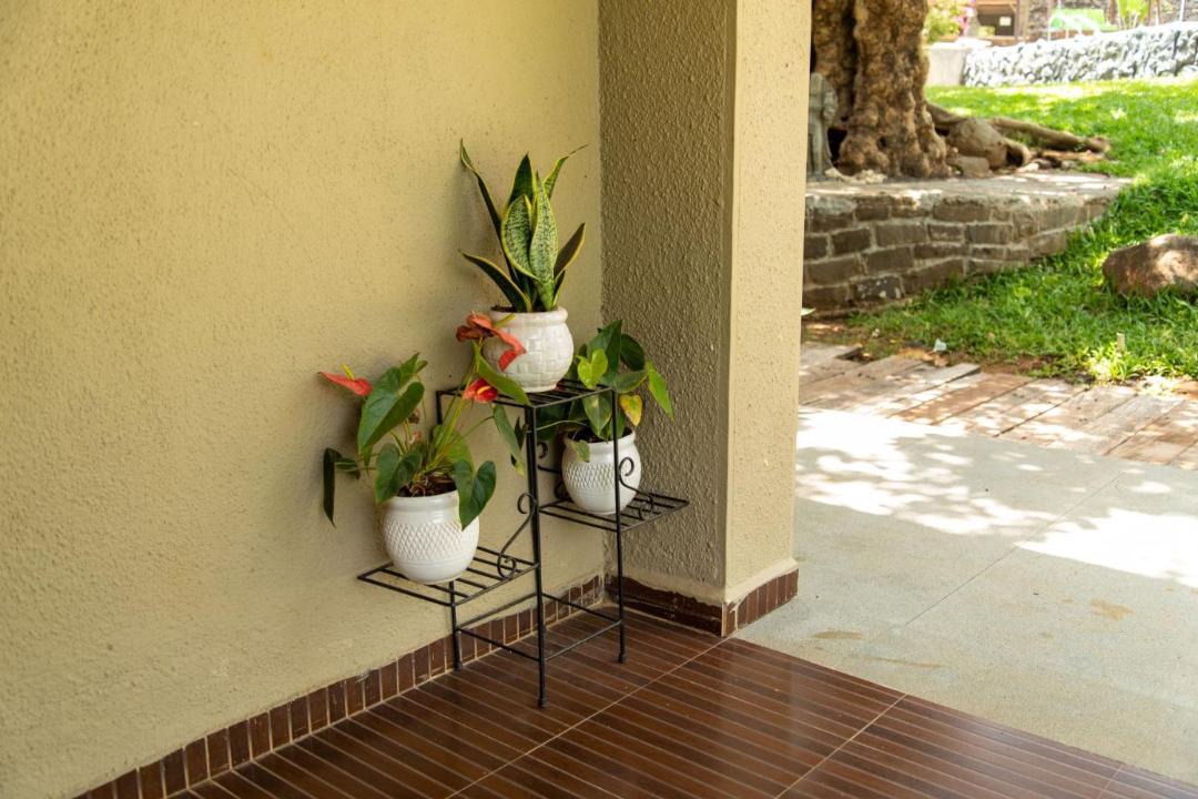 Photo of Patio Balcony in Valane