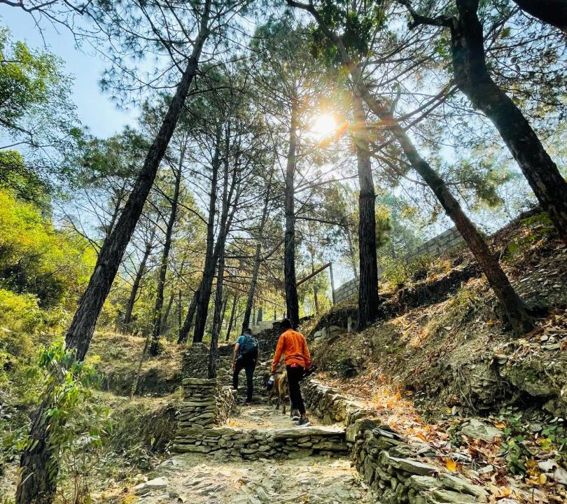Photo of Others in Pauri