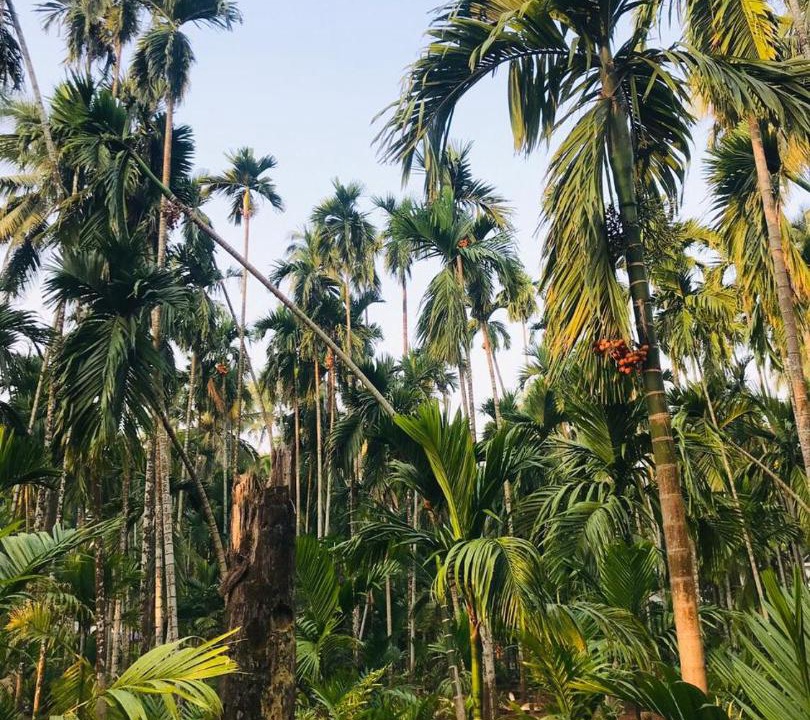 Photo of Outdoor in Murud