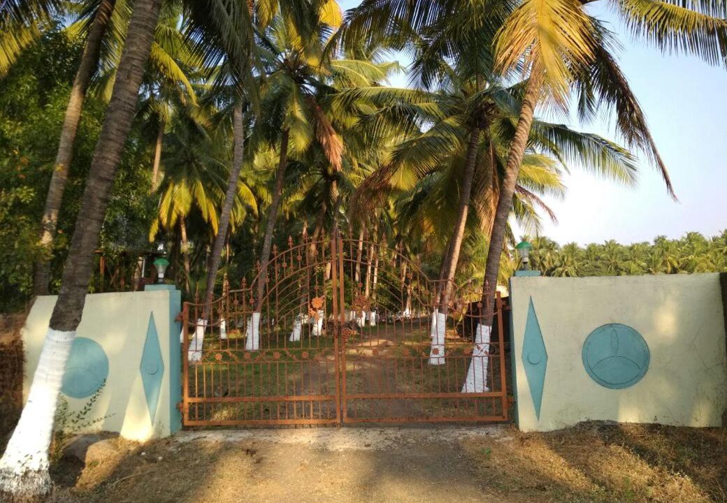 Photo of Others in Murud