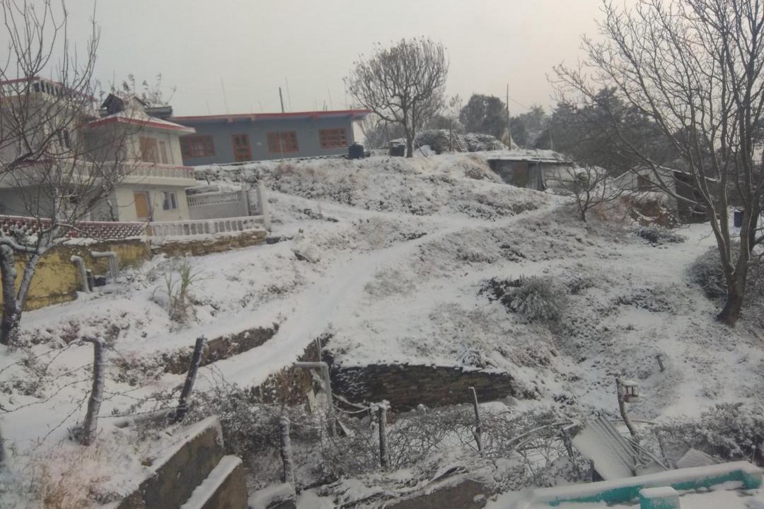 Photo of Others in Shimla