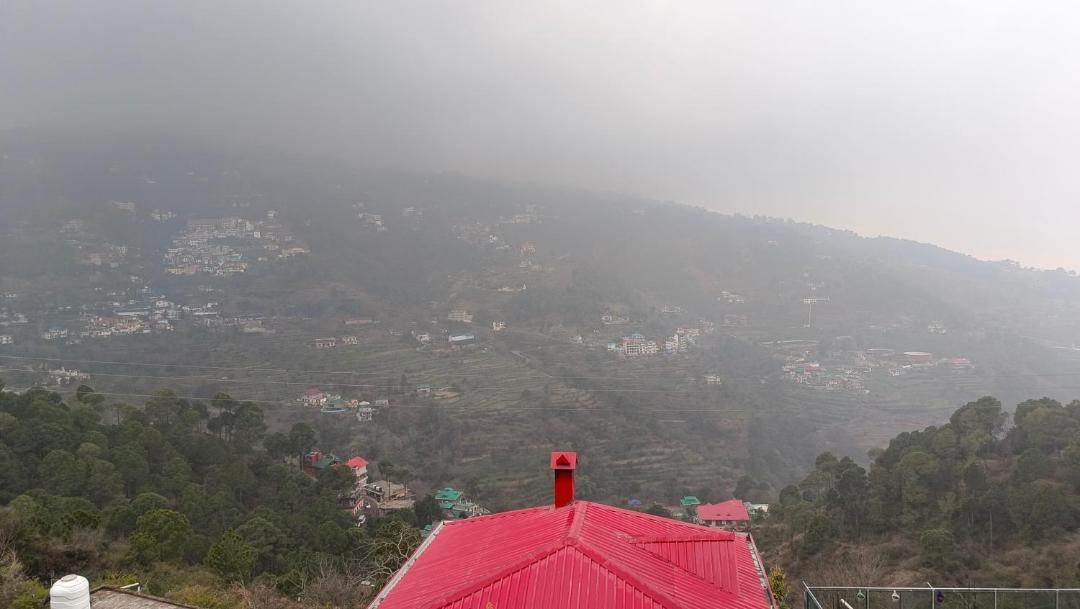 Photo of Others in Kasauli