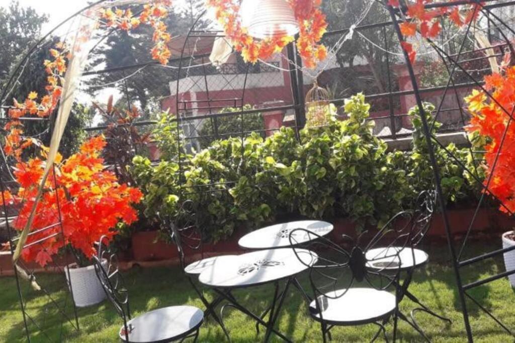 Photo of Others in Bhilar