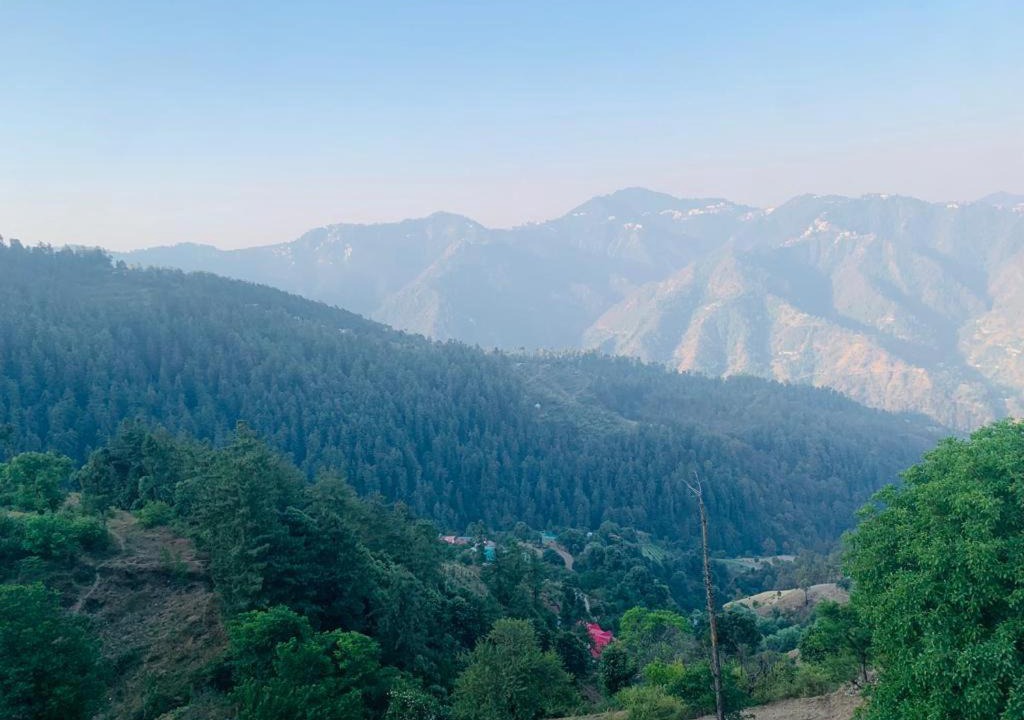 Photo of Outdoor in Shimla
