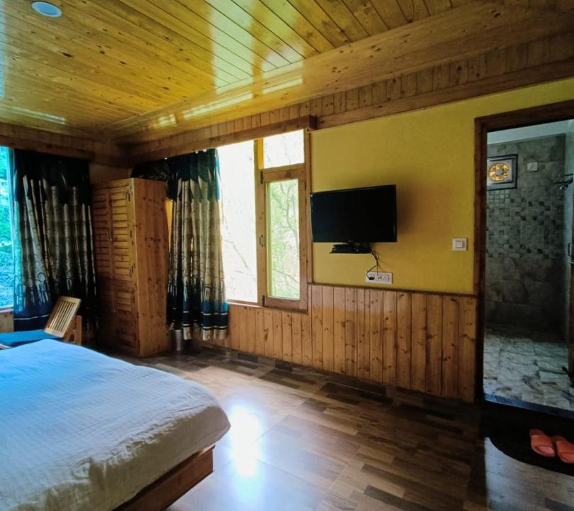 Photo of Others in Manali