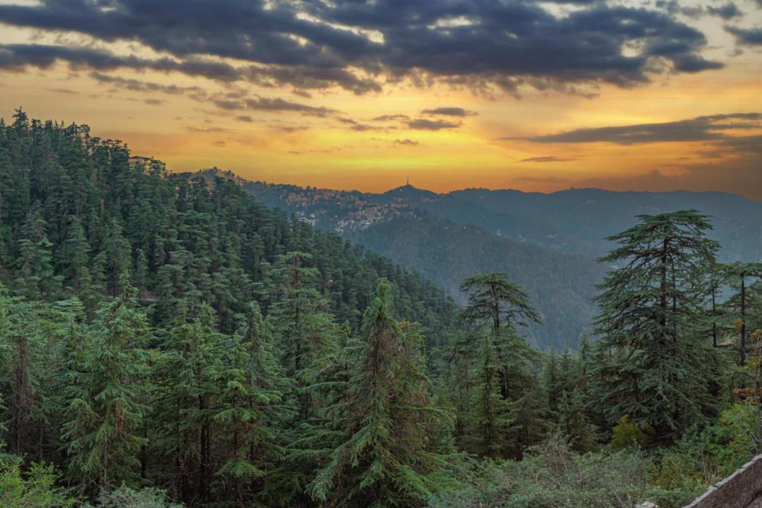 Photo of Outdoor in Shimla