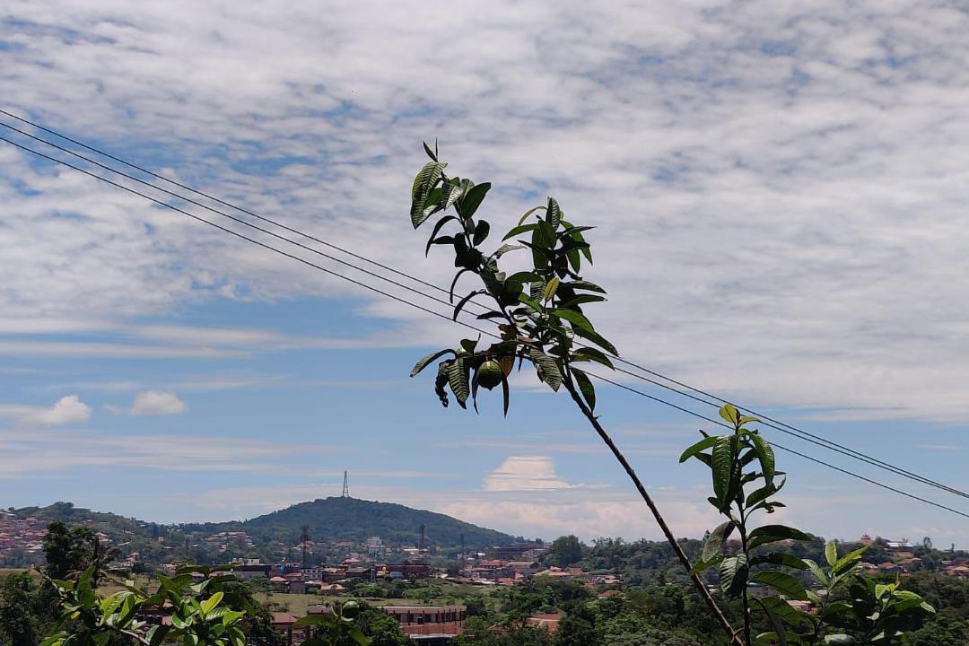 Photo of Outdoor in Madikeri