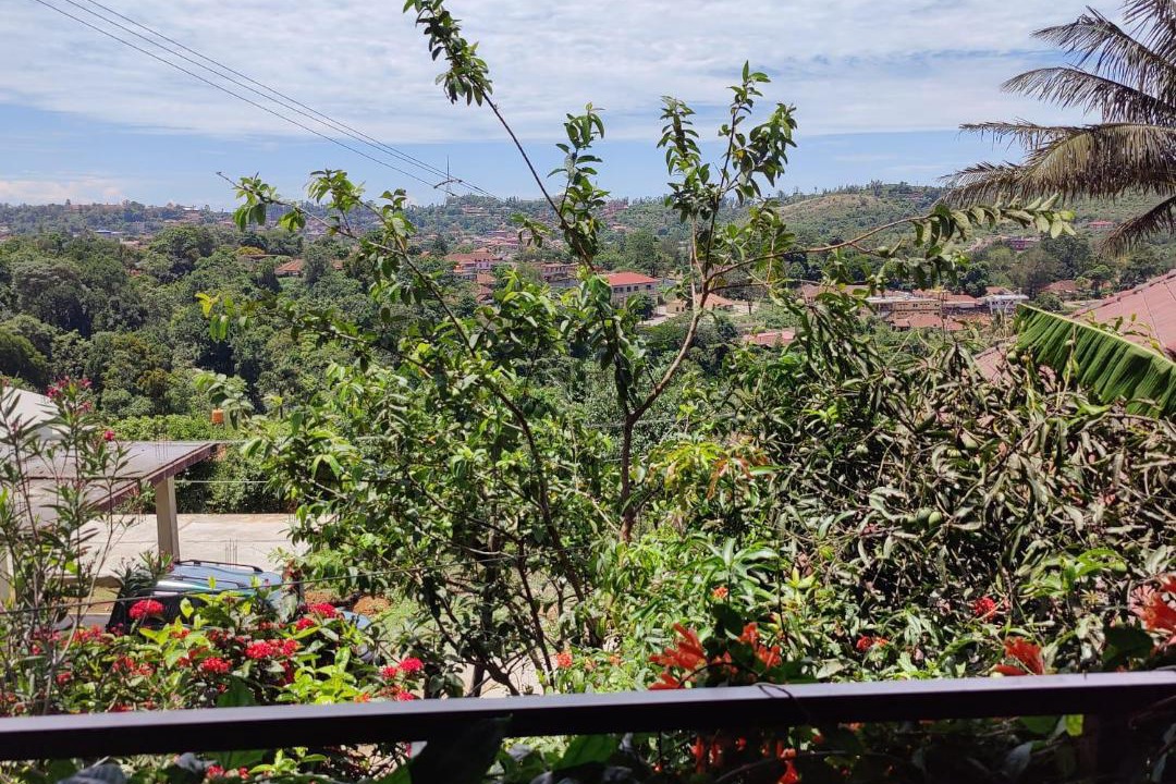Photo of Others in Madikeri