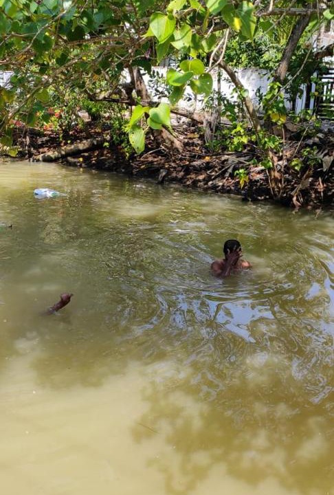 Photo of Others in Munroe Island