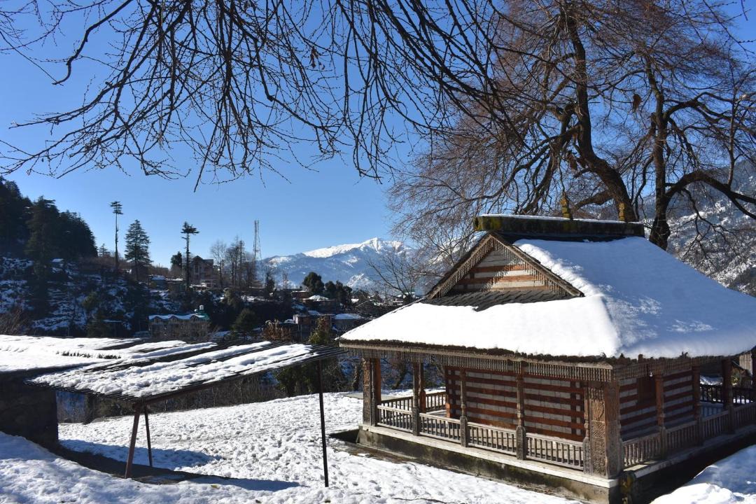 Photo of Others in Manali