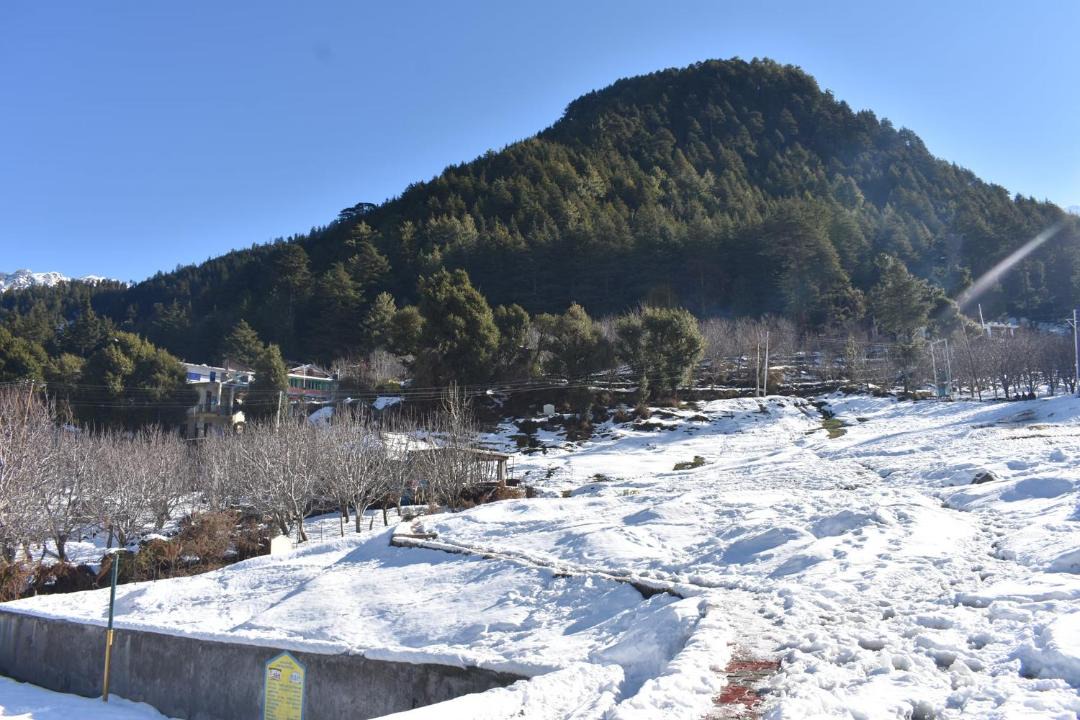 Photo of Others in Manali